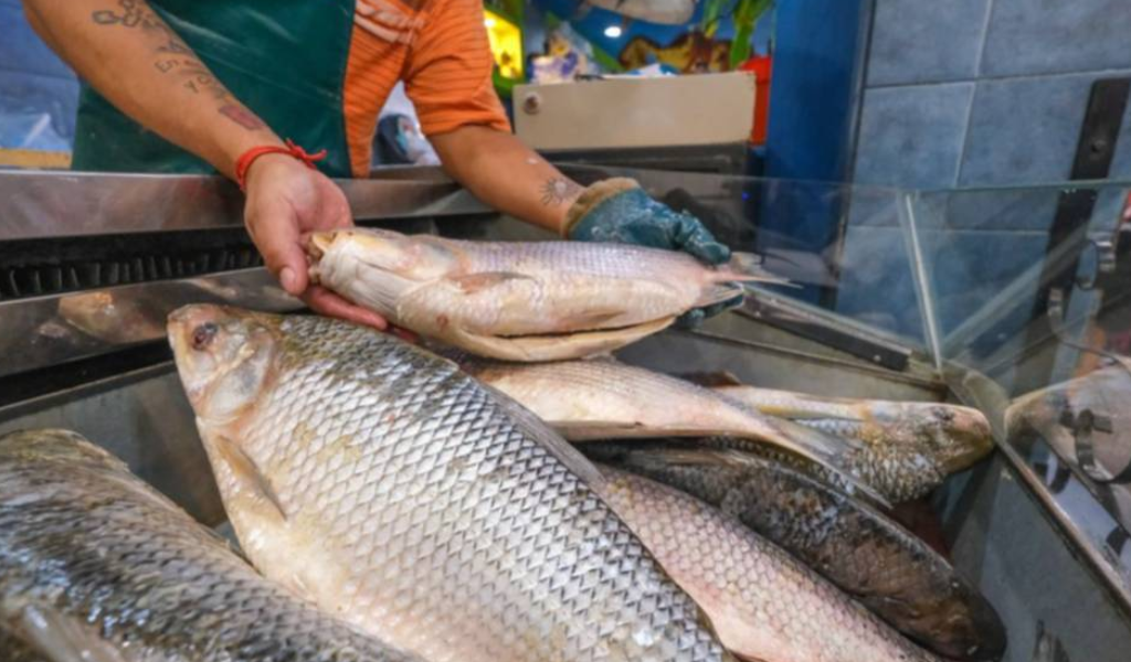 "Fiel a las costumbres" comenzaron a subir los precios de los pescados  en Salta por la Cuaresma