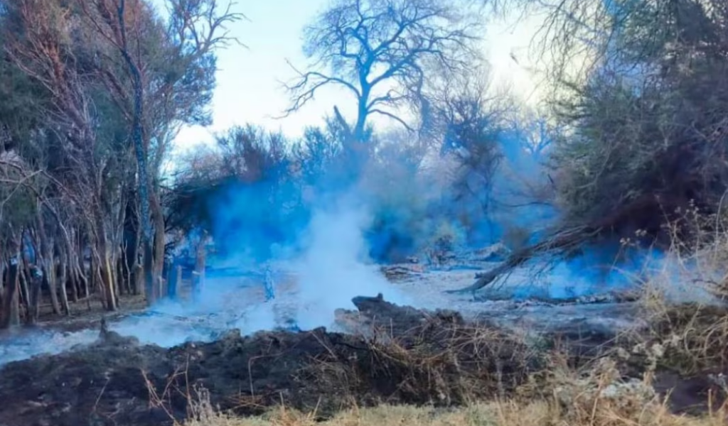 La Justicia imputó a un hombre por dos incendios que arrasaron bosques nativos en Cafayate