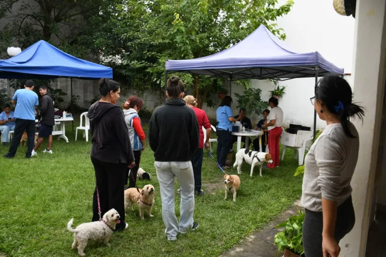 Vacunación antirrábica en la Ciudad de Salta: Conocé los barrios que visitará el móvil esta semana