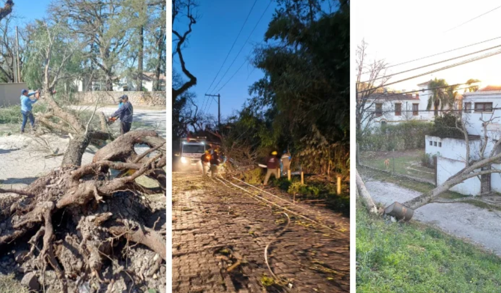 Salta: Ráfagas de hasta 133 km/h golpearon San Lorenzo derribando árboles y postes