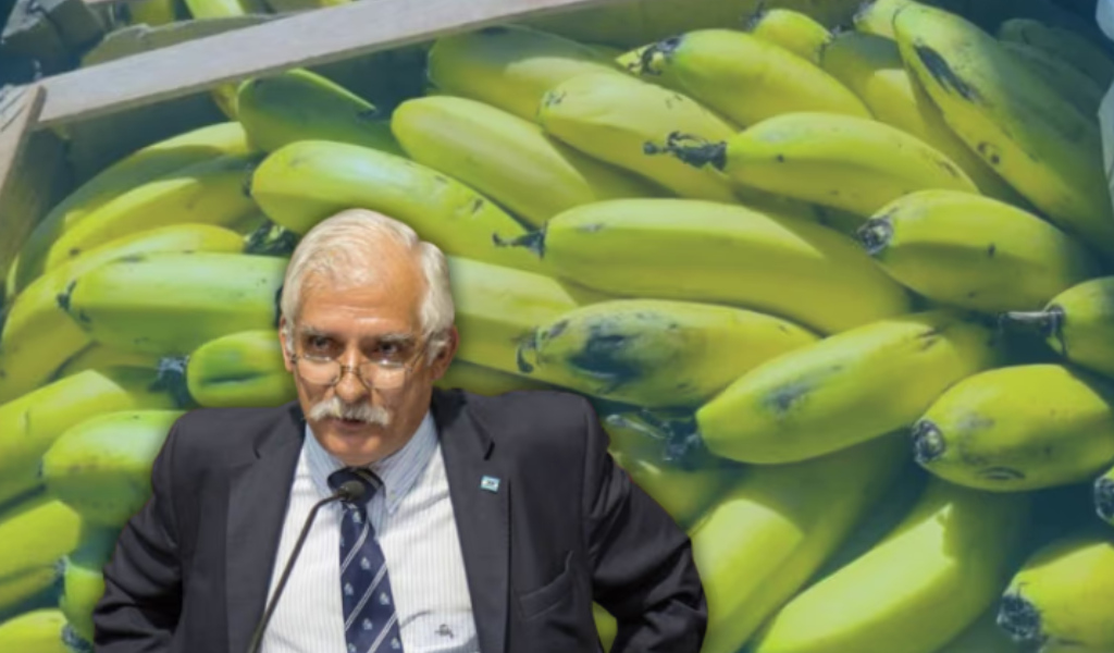 A contramano de los productores salteños, el diputado Zapata defendió la importación de la banana