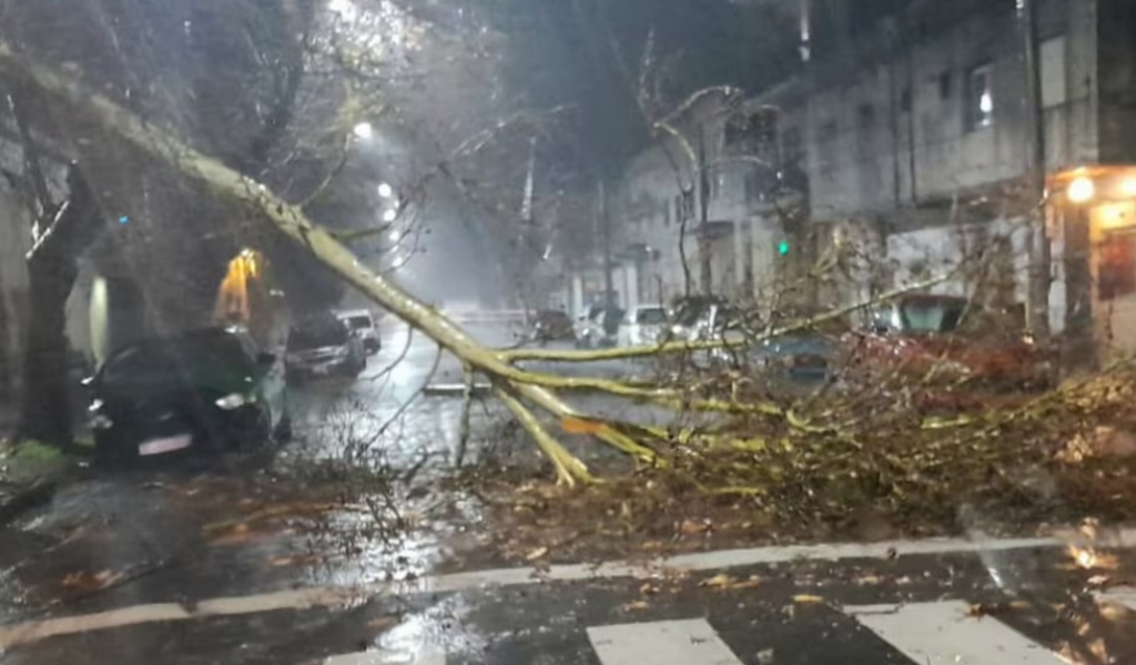 Un fuerte temporal dejó calles inundadas, destrozos y más de 50 mil usuarios sin energía eléctrica en el AMBA