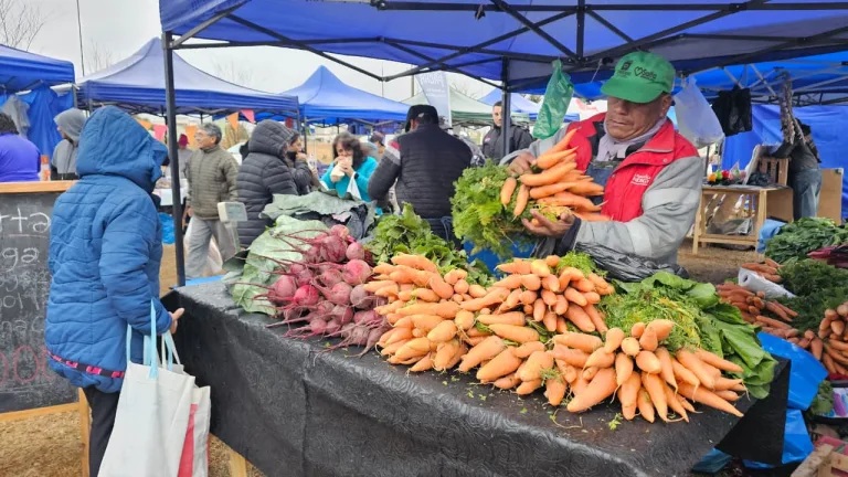 Otra jornada exitosa: Vecinos de zona norte aprovecharon las ofertas y los excelentes productos de «El mercado en tu barrio»