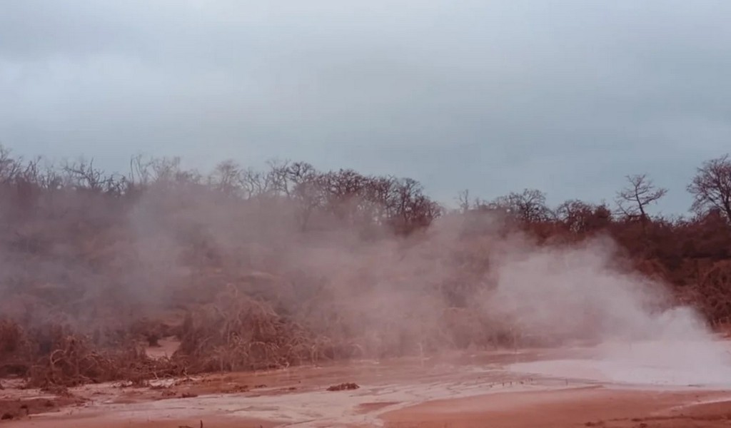 La pérdida del pozo petrolero  en Pichanal está generando una nube tóxica que envenena la flora del lugar