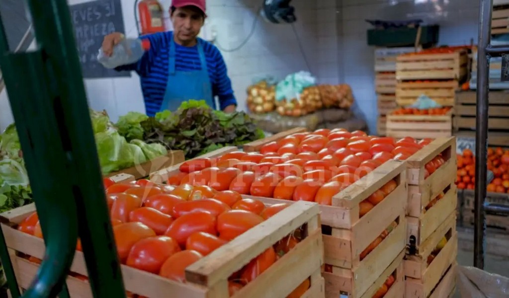 Precios por debajo de los costos, sobreoferta y la importacion ponen en jaque a productores salteños de tomate