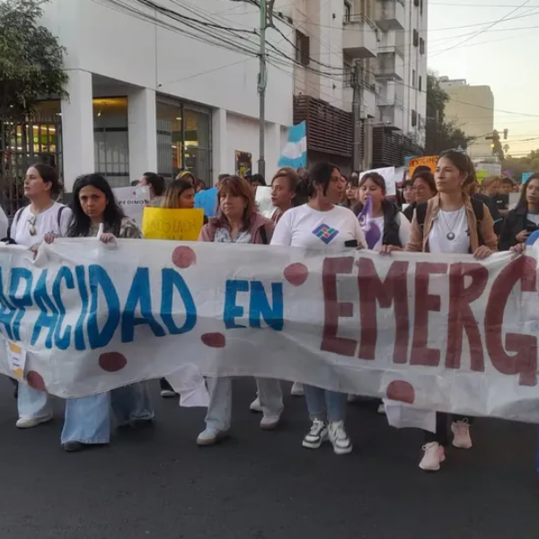 Milei promulgó la emergencia en Discapacidad, pero suspendió su aplicación