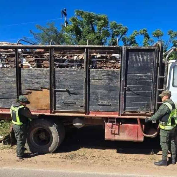En Salta Gendarmería atrapó a una caravana de 15 camiones que llevaban de forma ilegal chatarra valuada en 200 millones