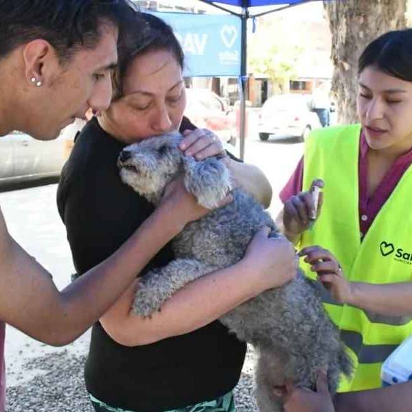 ¡Cuidá a tu mascota! Se vacunará contra la rabia en los barrios  Castaños, 17 de Mayo, Pablo Saravia y A. Saravia