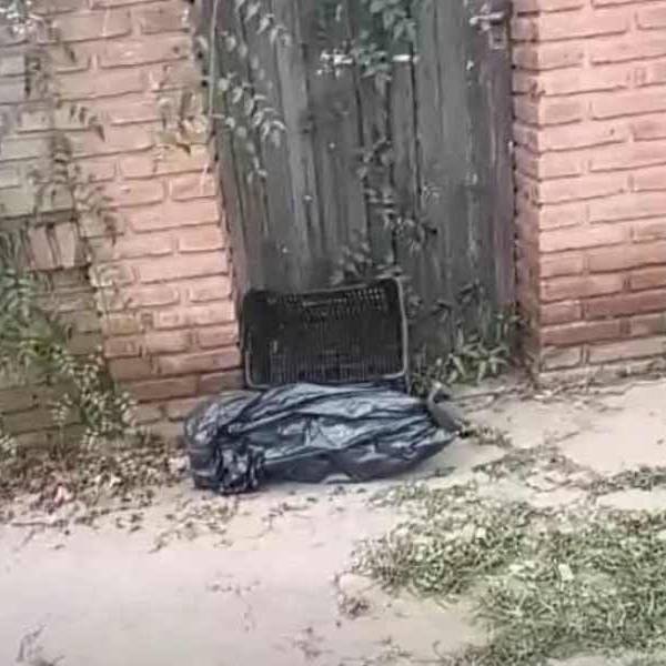 Dos hermanos de Orán que quemaban vivos a perros callejeros fueron condenados