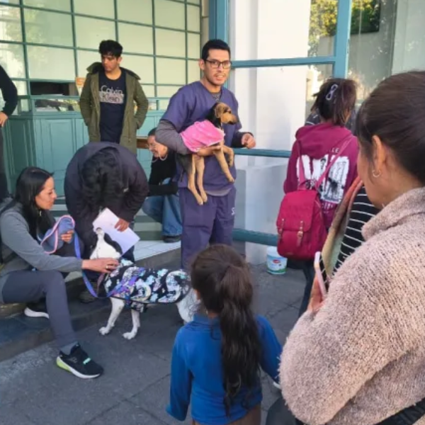 Una segunda oportunidad: La conmovedora jornada donde 5 perritos albergados por la Municipalidad hoy encontraron un hogar