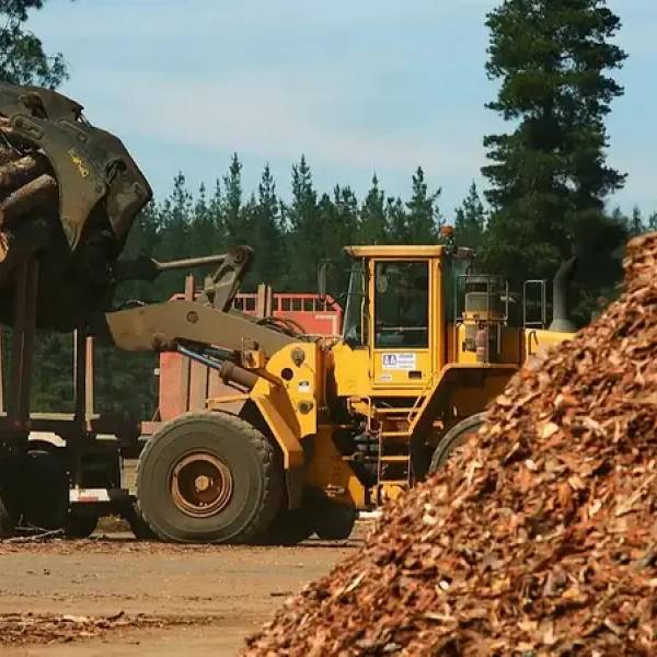 La industria forestal correntina criricó las políticas de Milei: 