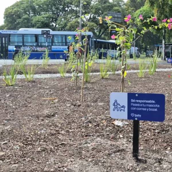 ¡Se pide a los vecinos que los cuiden! La Municipalidad ejecuta tareas de parquización en espacios verdes de la ciudad