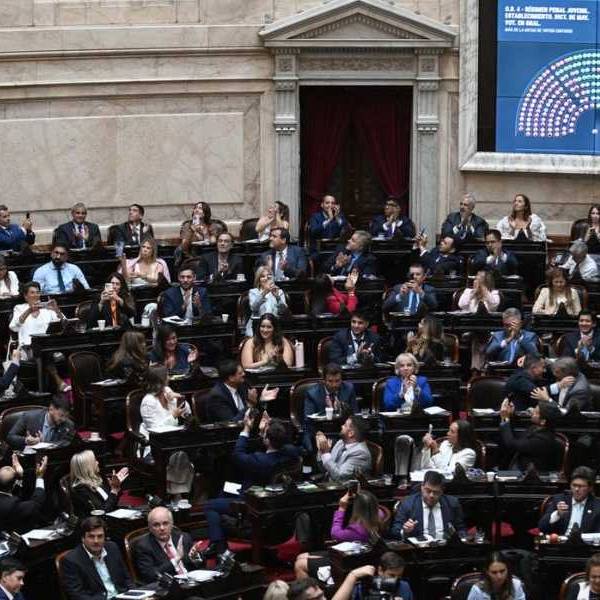 Los siete diputados nacionales por Salta votaron a favor de la ley para bajar la imputabilidad a los 14 años.