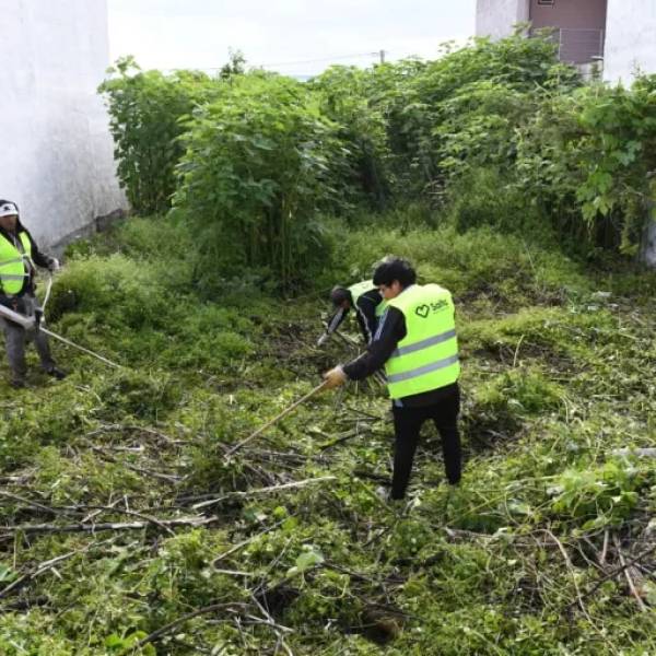 El Municipio de Salta desmalezó  un terreno privado en mal estado y le cobrará al dueño el costo de la limpieza