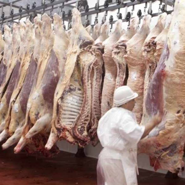 Estados Unidos bajó las expectativas: Funcionaria de Trump asegura que comprará “poca carne argentina”