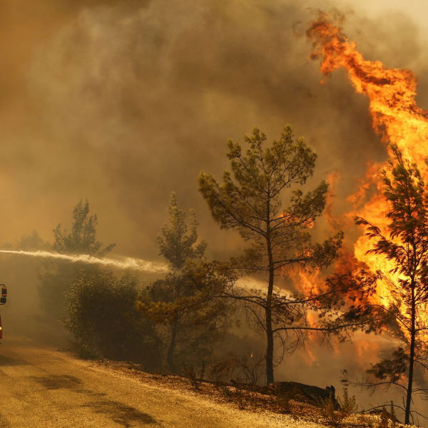 En 2025 el Milei transfirió solo la mitad de los fondos que tienen asignados los bomberos voluntarios del país