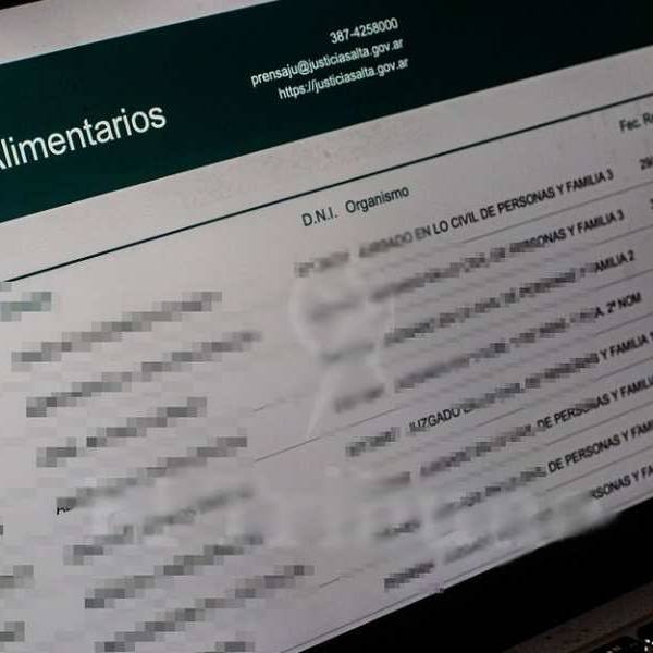 El Registro de Deudores Alimentarios en la provincia de Salta ya suma 2.080 personas