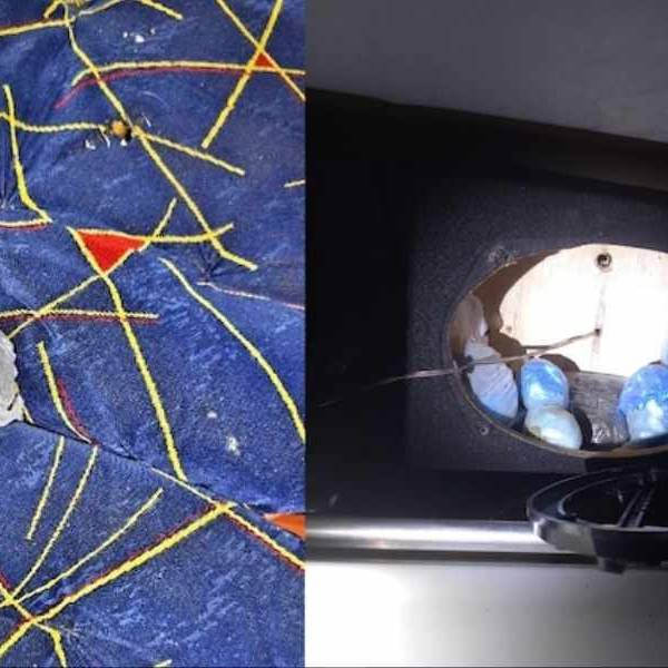 En Salta incautaron marihuana, cocaína y pastillas de disomnilan en micros con hinchas de Olimpia