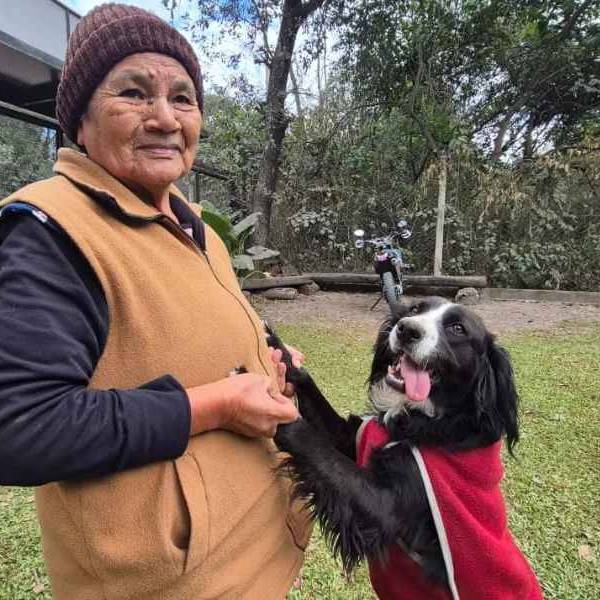 El perrito que apareció atado en la plaza 9 de Julio se reencontró con sus dueños: 