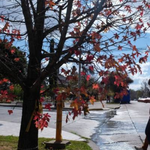 ¿Otoño veraniego en Salta? Según el Servicio Meteorológico estará entre las provincias que tendrán más calor del promedio