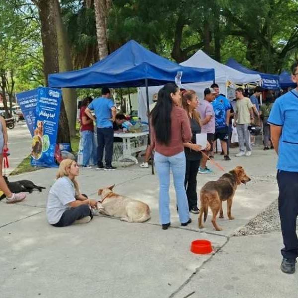 “La Muni Animal” llega a Tres Cerritos con servicios gratuitos: será este sabado 29 en la Plaza de Deportes