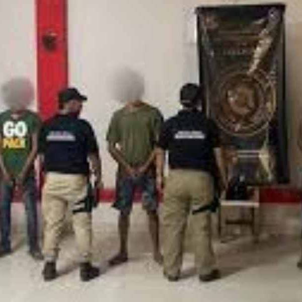 Detienen a los miembros de una banda que talaban árboles y robaban la madera en fincas privadas de Tartagal 