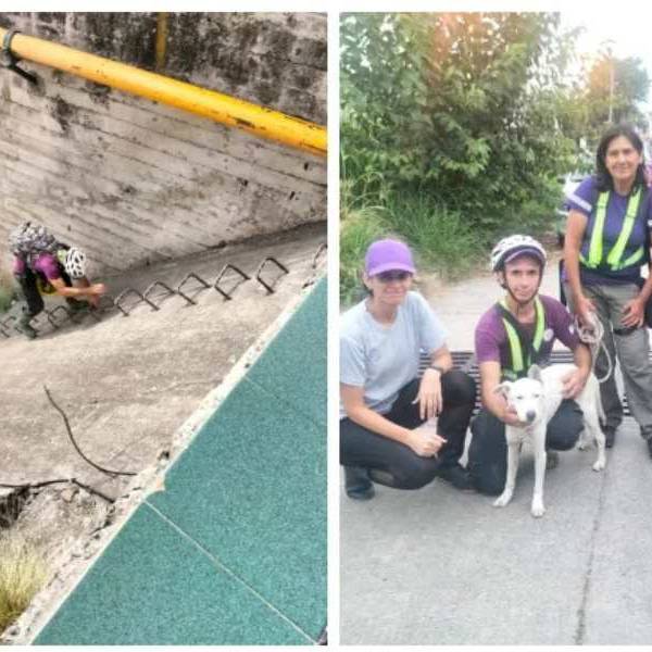 Voluntarios caminaron 30 cuadras por un canal que atarviesa la ciudad de Salta para rescatar a 'Pulga'