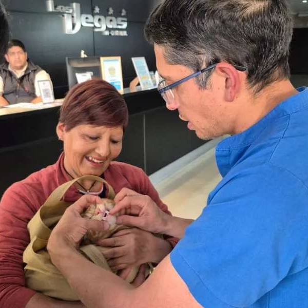De la calle al amor de una familia: siete cachorritos del Centro de Adopciones de la Municipalidad de Salta consiguieron hogar