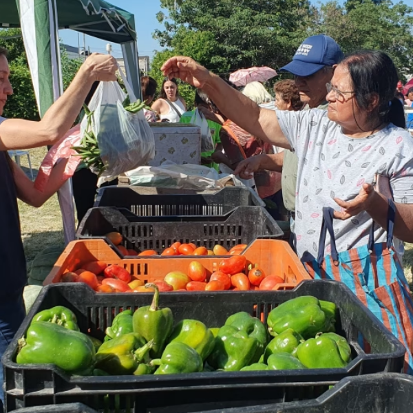 El Mercado en tu Barrio” estará en zona oeste:  Se instalará el 11 de noviembre en barrio Roberto Romero