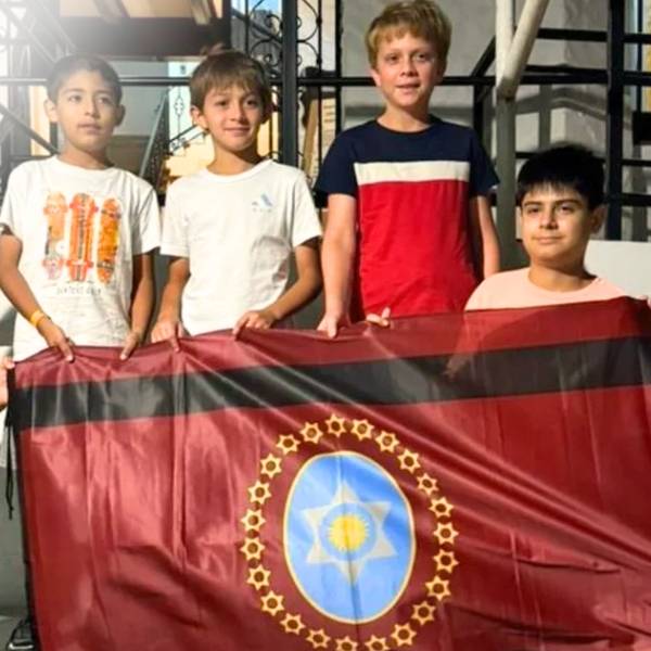 ¡Alerta! Está disminuyendo la población del cóndor andino