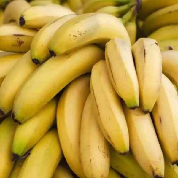 Bananeros salteños en alerta por la importación indiscriminada: 