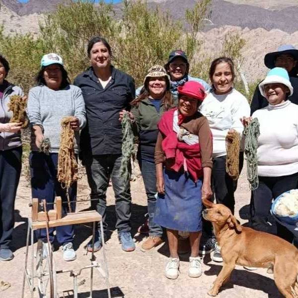 Los estudiantes participaron del proceso de esquila y la producción de fibras y tintes naturales