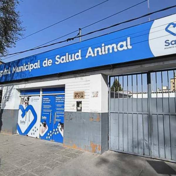 Una muy buena noticia: No se registraron atenciones por pirotecnia en el Hospital de Salud Animal durante Navidad