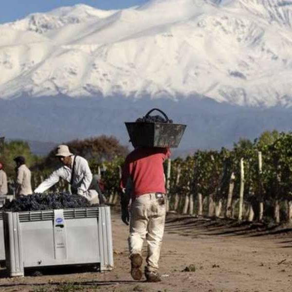 Bajaron las exportaciones y 