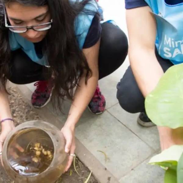 Brote de chikungunya en el norte: Envían test rápidos y preparan operativos en zonas críticas