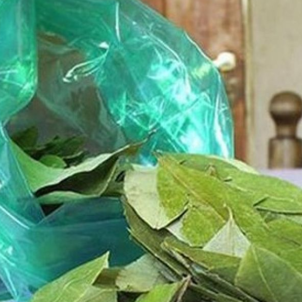 El fuerte aumento del precio de la coca encendió el malestar entre consumidores salteños