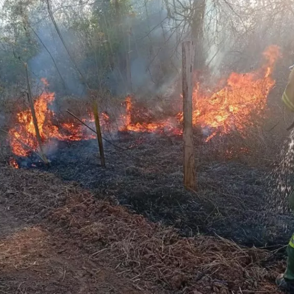 Continúan los incendios forestales en el norte de Salta: Se utilizan aviones hidrantes para combatir el fuego en Orán