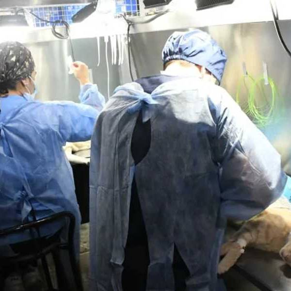 ¡Atención vecinos! El Móvil de Castración atenderá en los barrios Primera Junta, Solidaridad y Justicia a partir del lunes 10 de noviembre