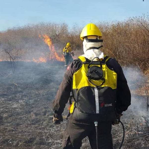 La Municipalidad de Salta trabajó para sofocar 5 incendios forestales ocasionados en un día