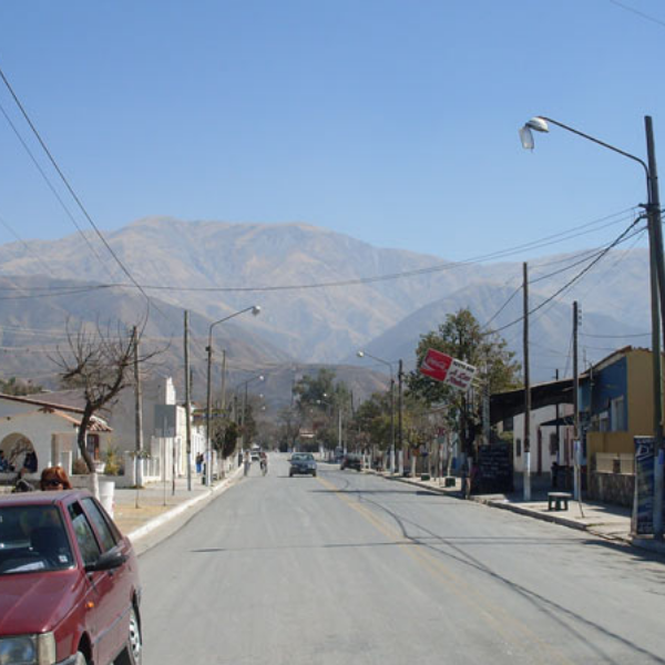 En Campo Quijano le quitaron la licencia de conducir a un hombre que deliberadamente pasó su auto por encima de una perrita