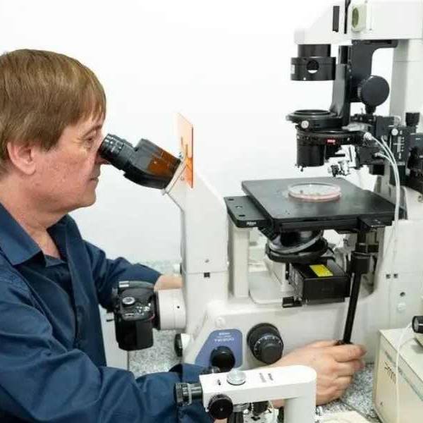 Milei renovó por decreto la conducción del CONICET y confirmó al veterinario Daniel Salamone: 