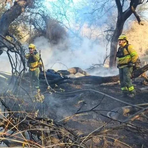 Para desalentar emprendimientos inmobiliarios: El municipio de Cafayate prohibió lotear las zonas afectadas por incendios
