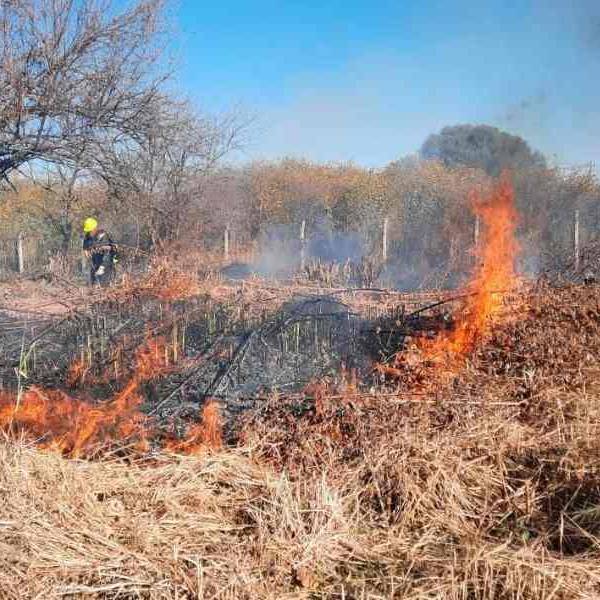 Estiman que por los incendios forestales se quemaron más de 8.700 hectáreas en Salta en lo que va del 2026