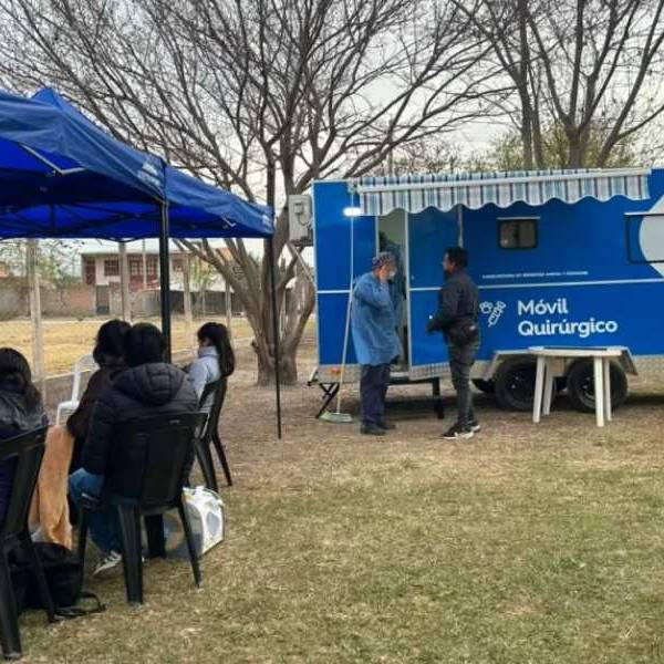 Doble operativo de castración: dos móviles del municipio  recorren diferentes puntos de la ciudad