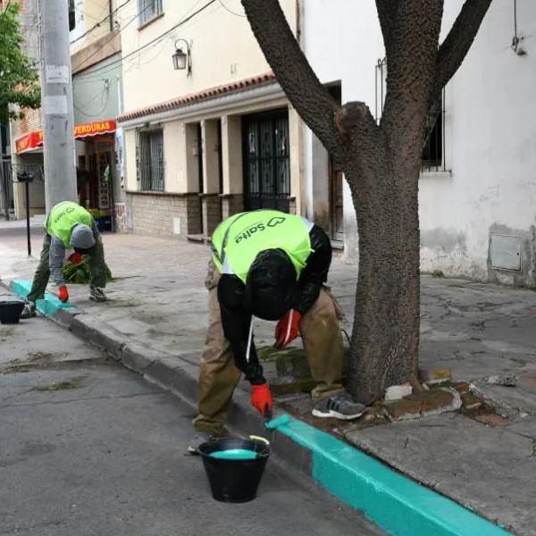 Estacioná tranquilo y gratis: Se llegaron a las 100 cuadras de cordones pintados de verdes en la ciudad de Salta