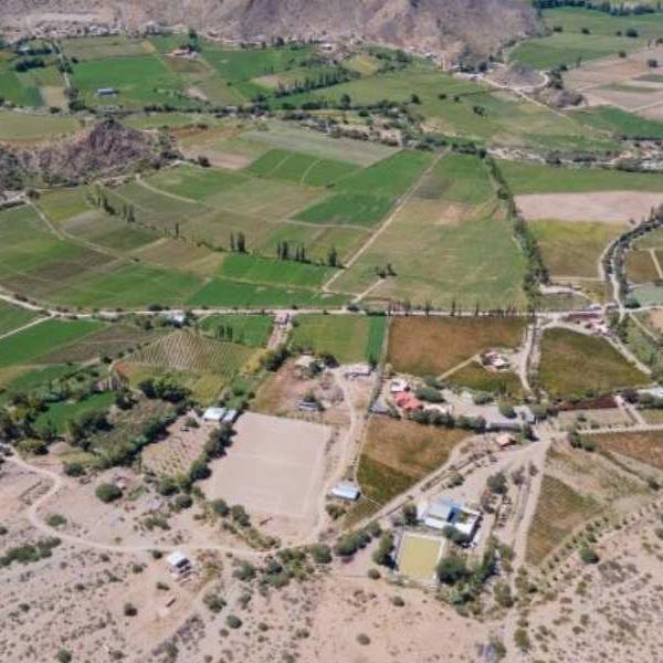 San Carlos y Molinos son dos departamentos que tienen casi el 60% de sus campos en manos extranjeras