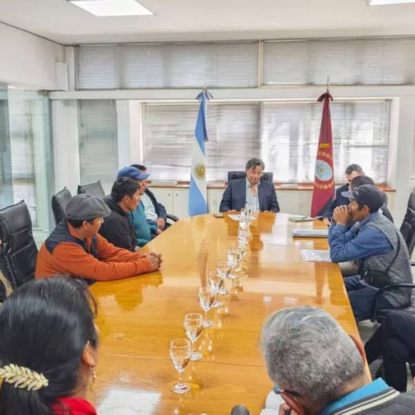 De la Puna a los campamentos: Buscan incorporar carne de cabra y oveja en los menús mineros de Salta