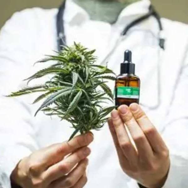 Normativa clave: Salta reglamentó el registro para autocultivadores, productores e instituciones de cannabis medicinal