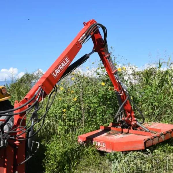 Por pedido de los vecinos, el municipio desmalezó un espacio en Ampliación El Bosque: El costo del trabajo será imputado a los propietarios