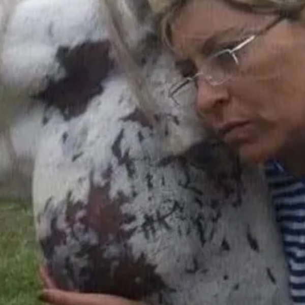 Profundo dolor causó el fallecimiento de Nicole Sasso, una de las  proteccionista de animales más reconocida en Salta